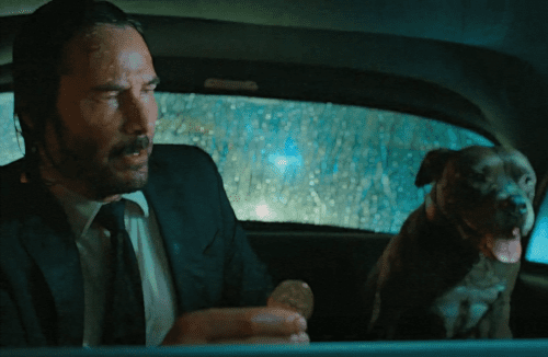 “John Wick 3” film (2019), scene at 0:04 hour, a Coin for a taxi driver to take the dog to safety